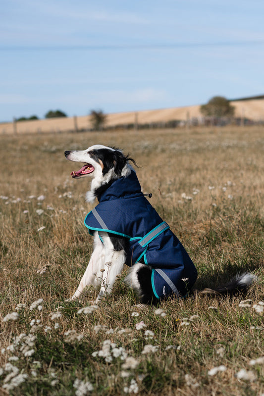 Luxe Waterproof Dog Coat 0g - Navy