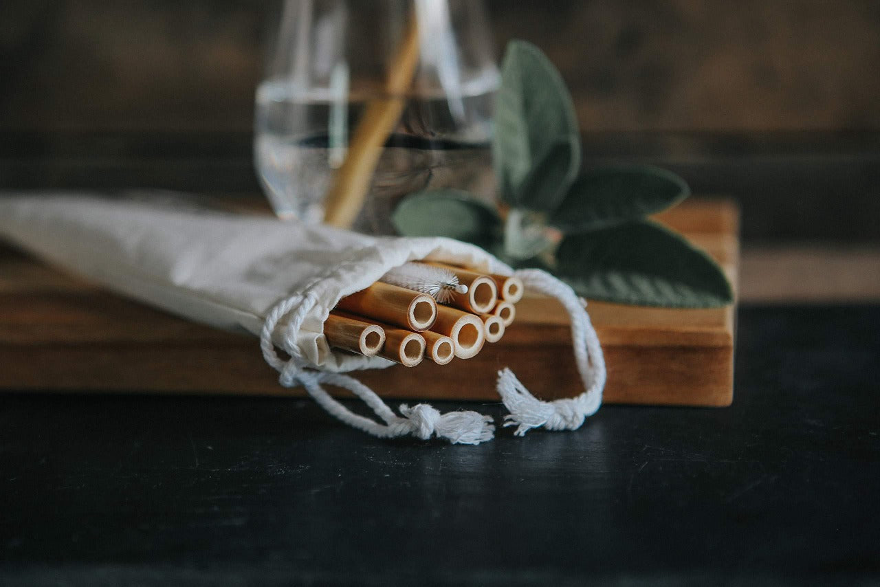 Reusable Bamboo Drinking Straws - 10 Pack