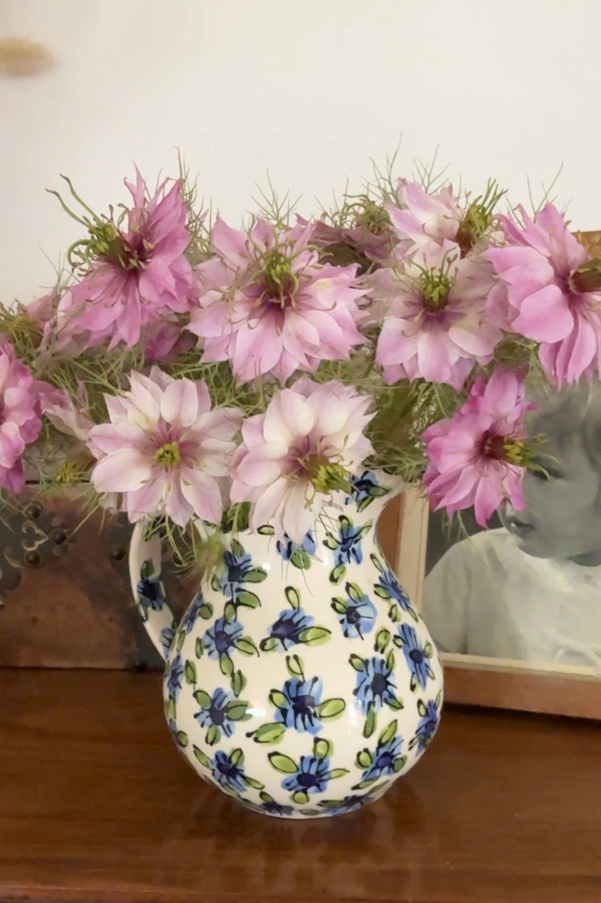 Nigella Mulberry Rose (Love-in-a-mist)