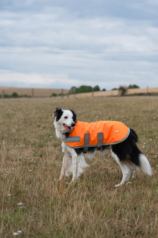 Classic Waterproof Dog Coat 150g - Orange High Viz