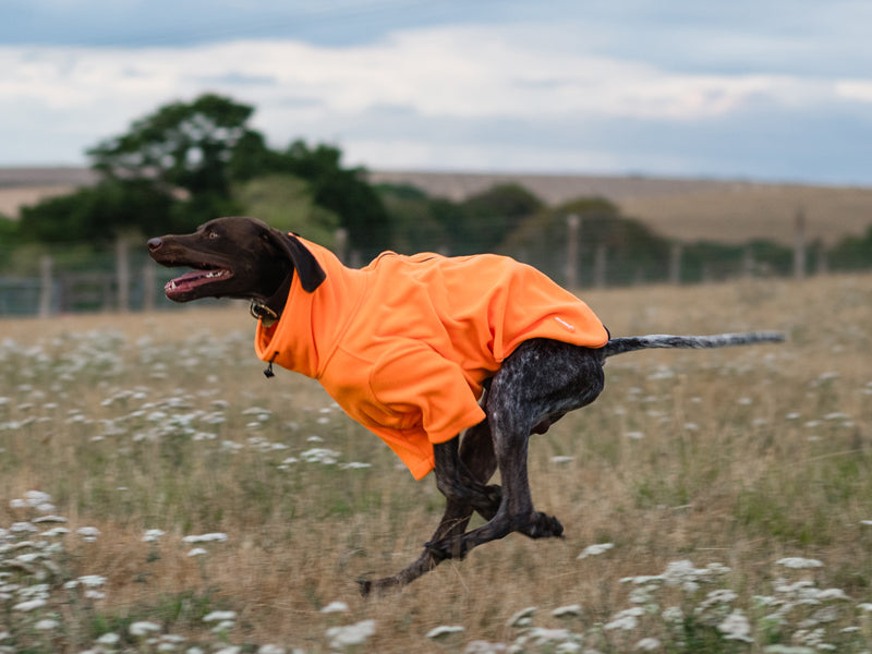 Fleece Dog Jumper - Orange