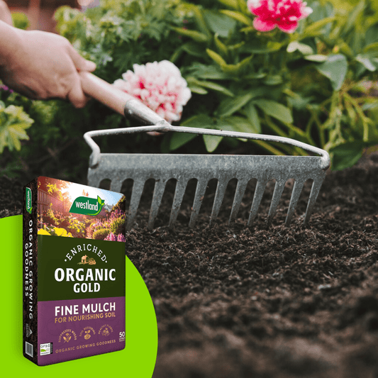 Organic Gold Fine Mulch 50ltr Bulk Buy