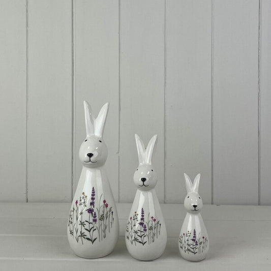 Tall Meadow Rabbit