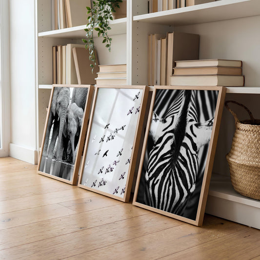 Pictures for the Living Room Wall Black & White Wildlife Safari Art Prints — Elephants, Birds & Zebra | Set of 3