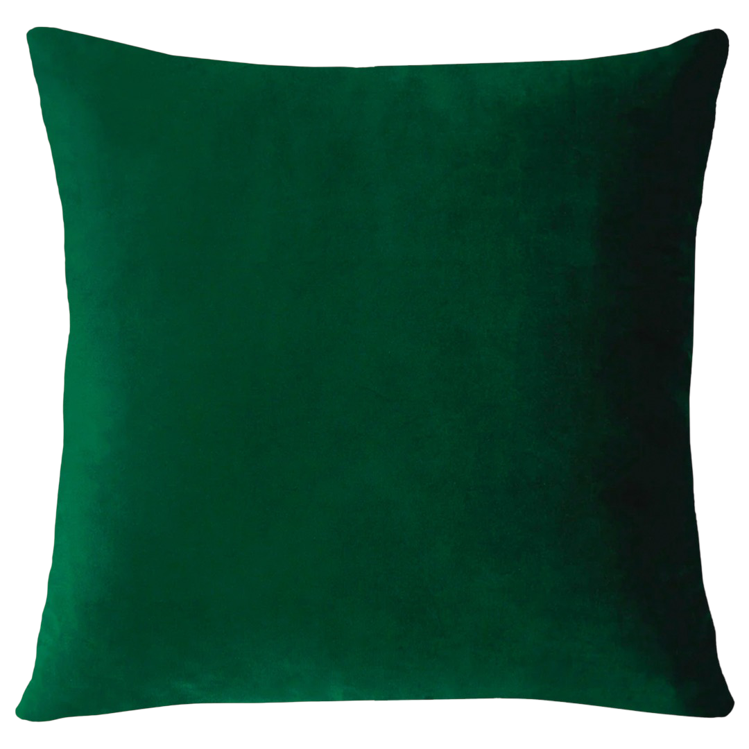 Miami Needlepoint Pillow