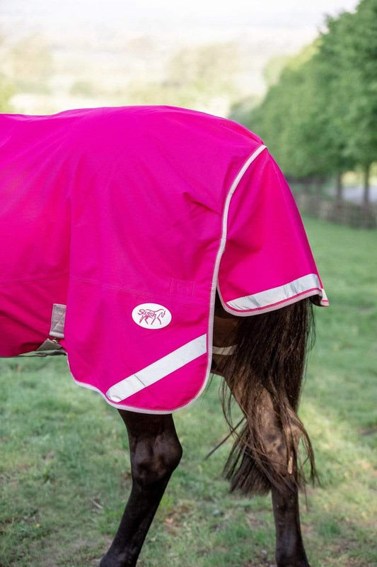 0g Detachable Neck Turnout Rug - Pink