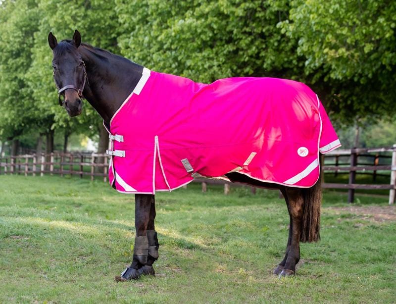 200g Detachable Neck Turnout Rug - Pink