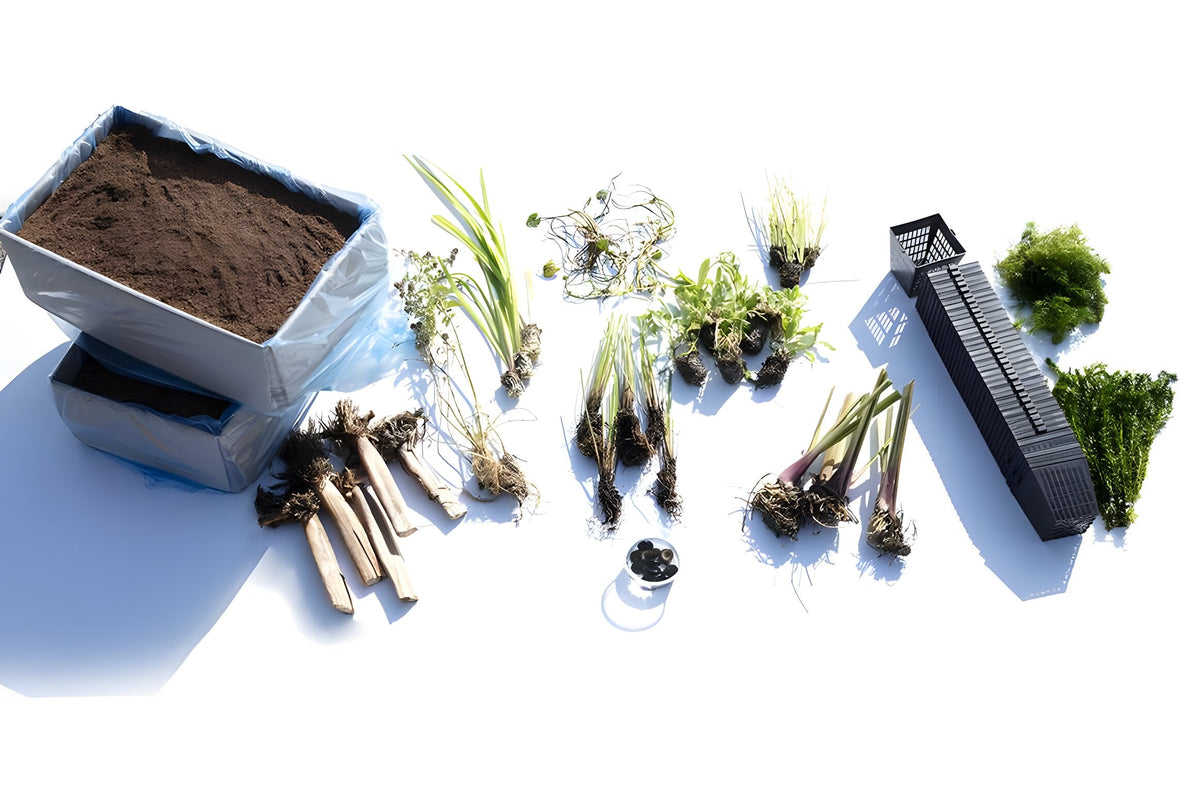 Pond Starter Packs - Pond topup Packs - Oxygenating - Compost and Pots Potted