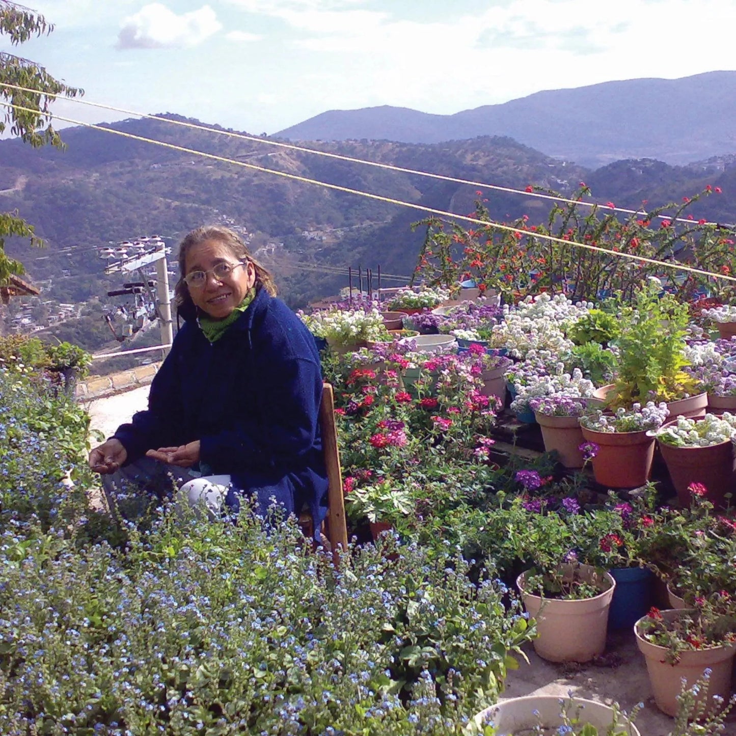 Poppy stud earrings by Shrieking Violet® Sterling silver teardrop stud earrings handmade with real flowers.