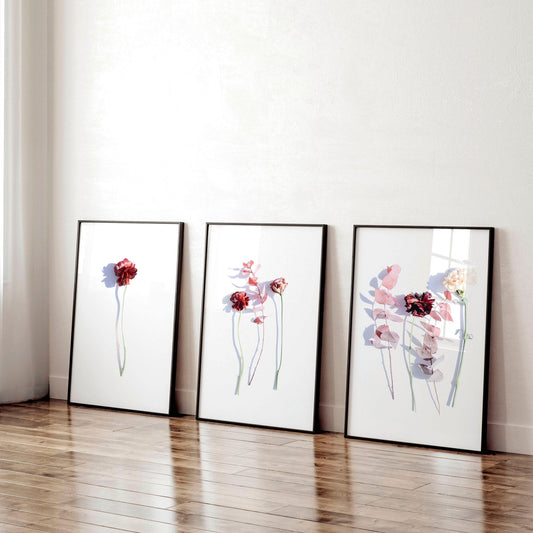 Art flowers | set of 3 framed wall art