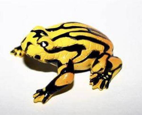 Corroboree Frog Figurine