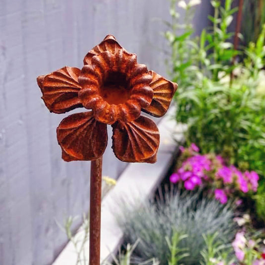 PoppyForge Daffodil Feature Plant Pins (pack of 3)