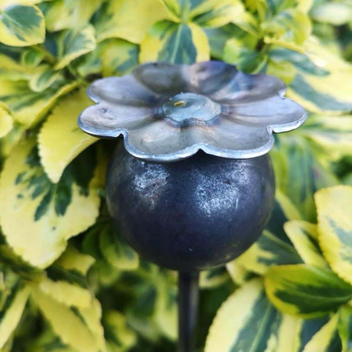 PoppyForge Poppy Plant Pins (pack of 3)