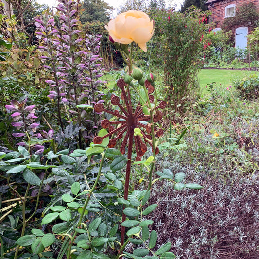 PoppyForge 3D Allium Plant Pin (pack of 3)