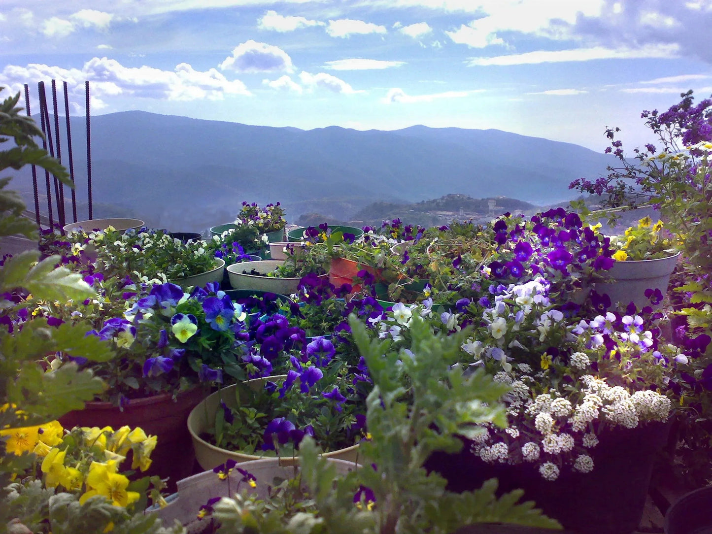 Purple flower necklace 'Leela' vertical bar pendant by Shrieking Violet®