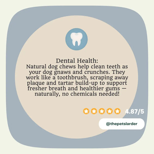 Rabbit Ear with Fur Natural Meat Chew For Dogs