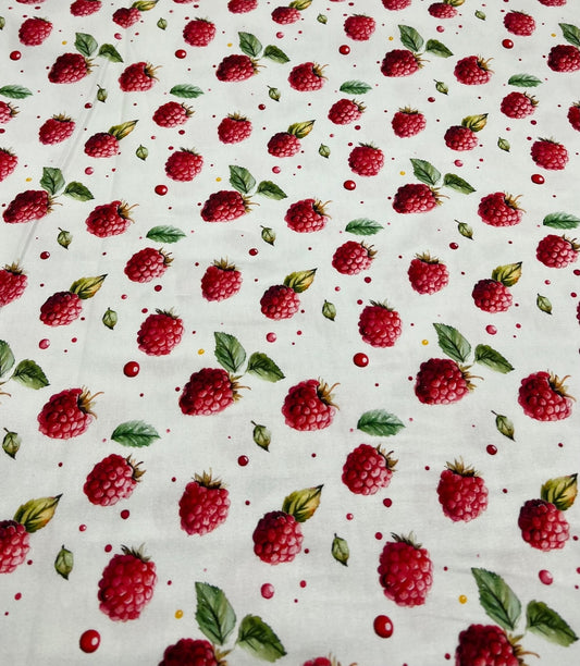 Raspberries Print Cotton Stretch Jersey 200 GSM 95/5 Lycra 4 Way Stretch