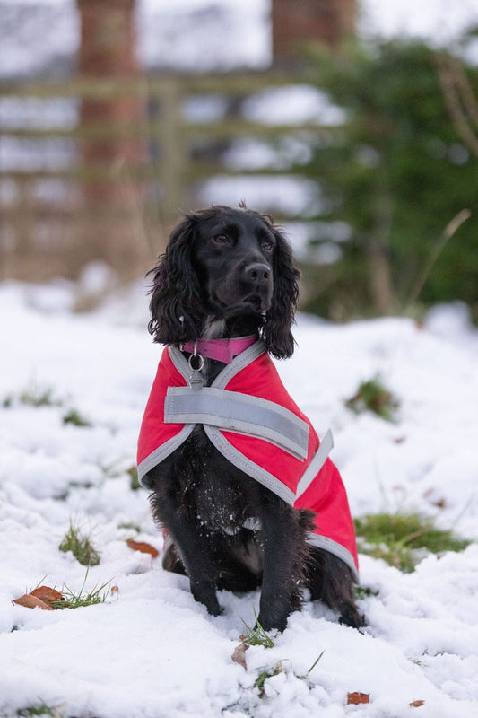 Waterproof Dog Coat - Red