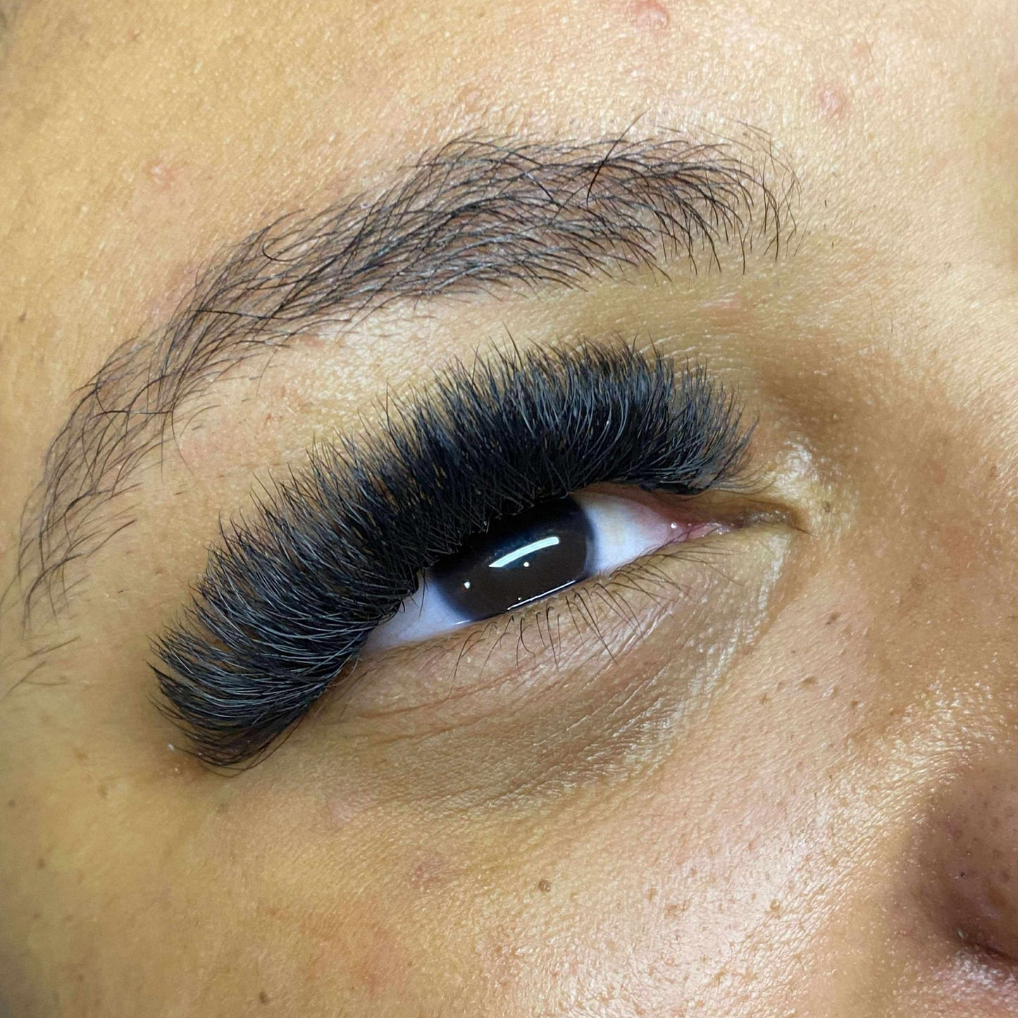 8D Clover Lash 16 Row Mixed Tray