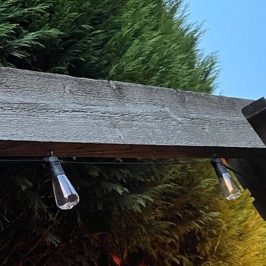 12 Pack Oval Super Festoon Warm White LED Shatterproof Bulbs