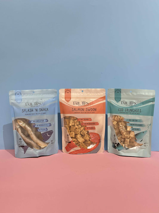 Ocean Splash Bundle π