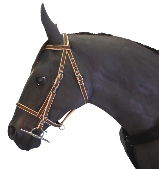 Endurance Combination Bridle
