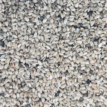 Infinity Foods Bulk Organic Whole Brown Sesame Seeds
