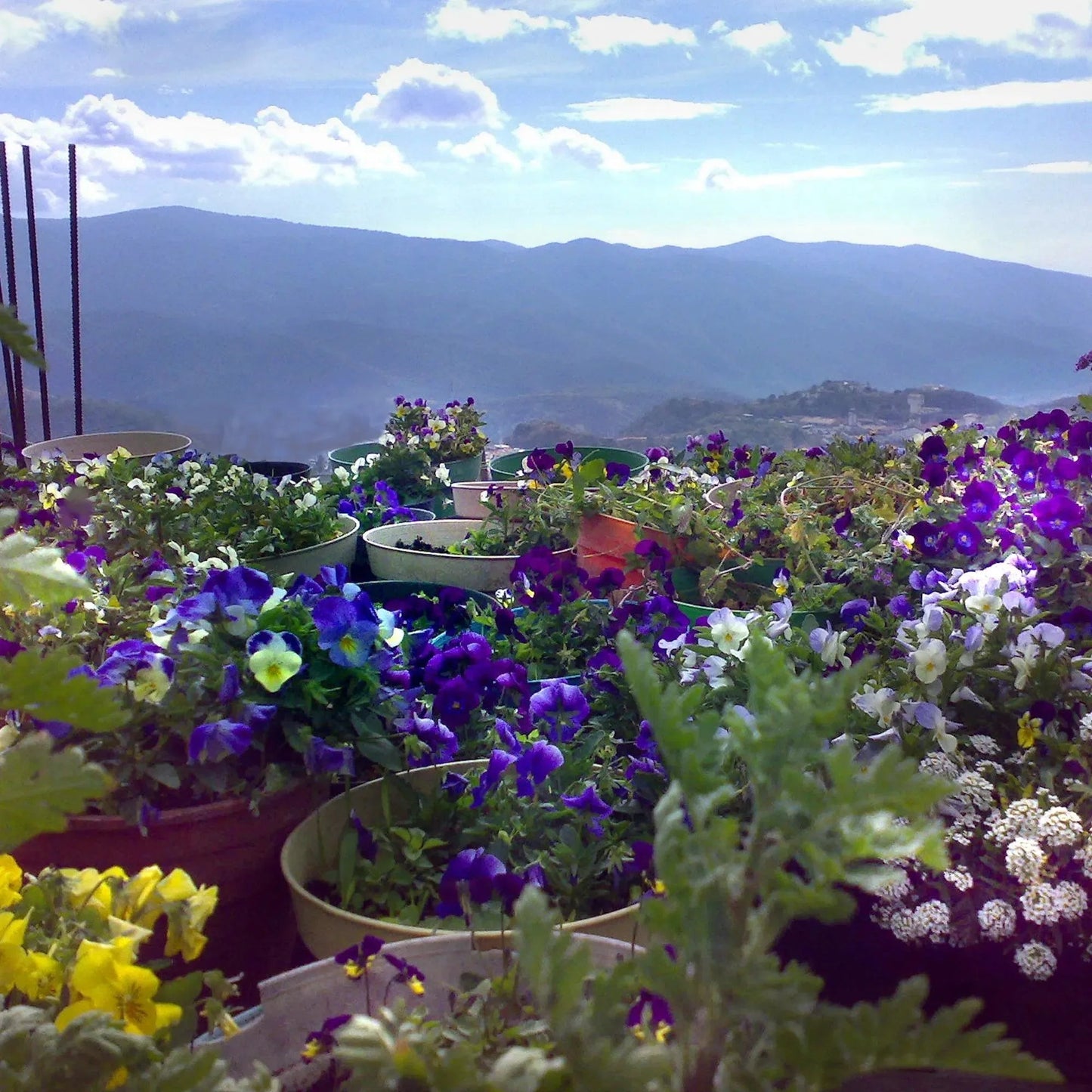 Silver Pendant Necklace | Purple Haze Collection | Large Teardrop
