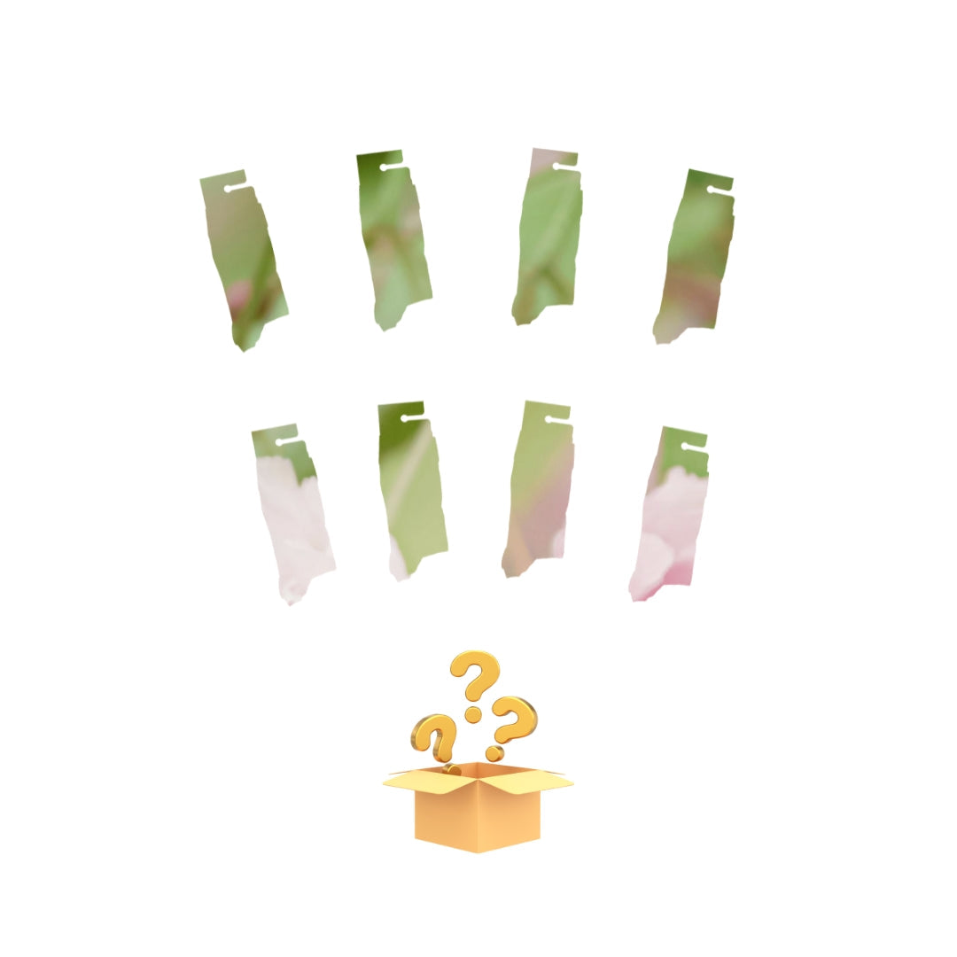 Winter Mystery Bundle of 8!