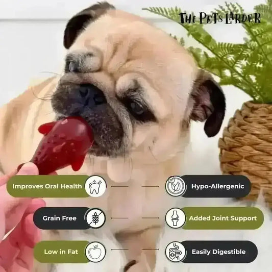 Strawberry & Banana Dolphin Vegetable Chew For Dogs