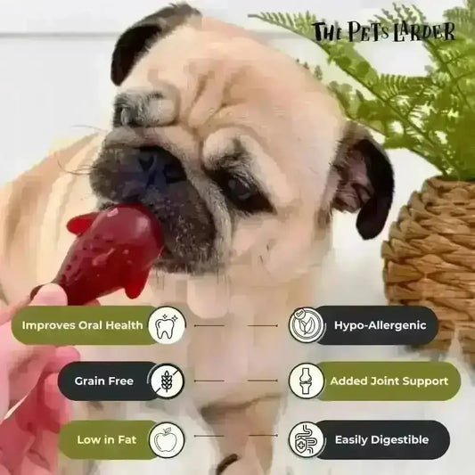 Strawberry & Banana Dolphin Vegetable Chew For Dogs