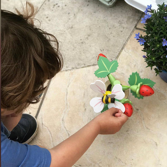 Strawberry Flower Pot