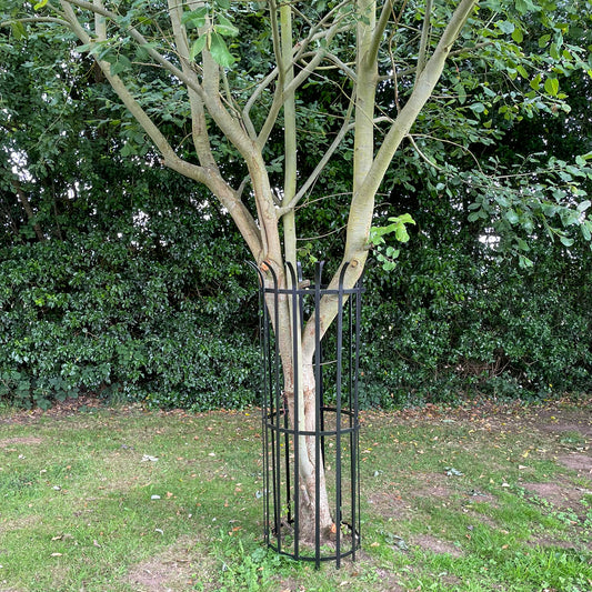 PoppyForge Tree Guard 450