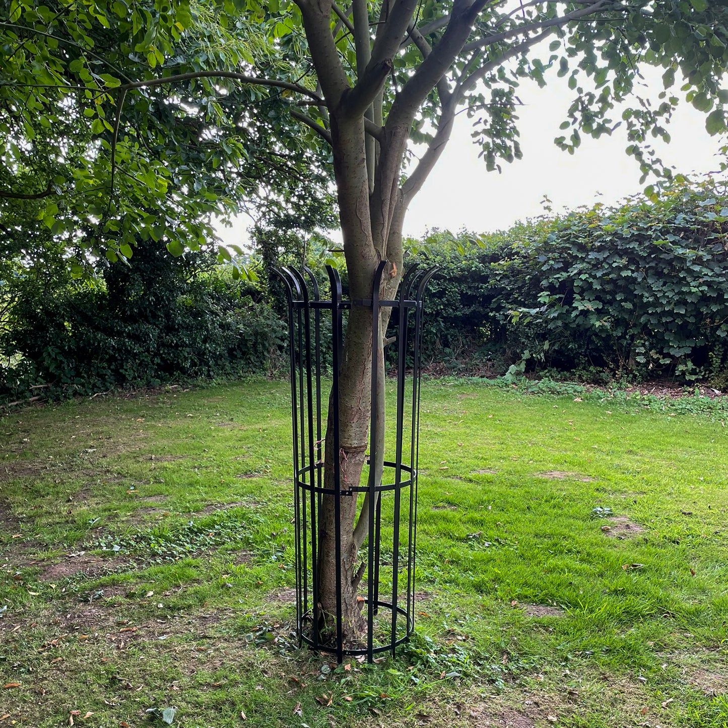 PoppyForge Tree Guard 450