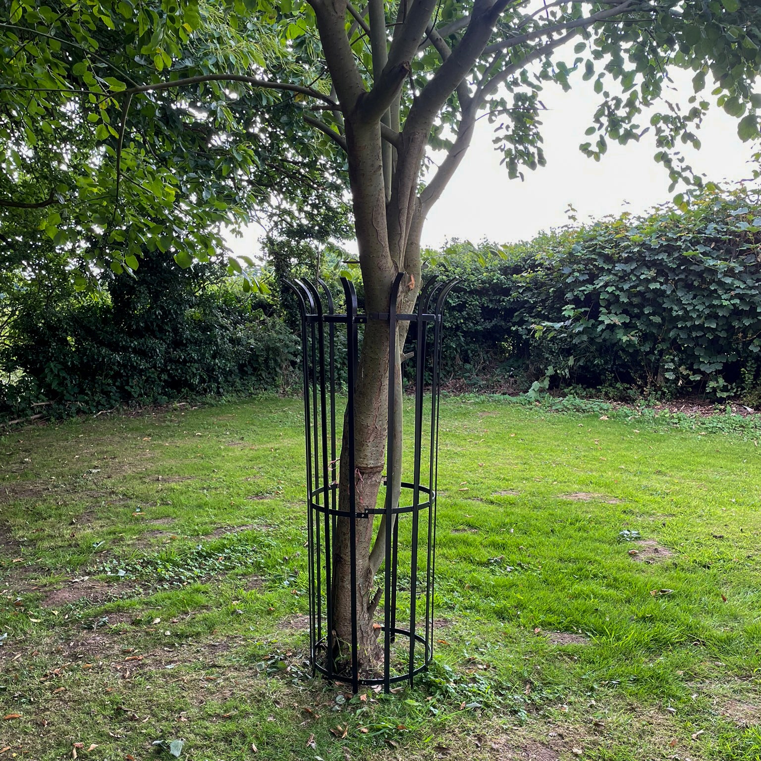 PoppyForge Tree Guard 450