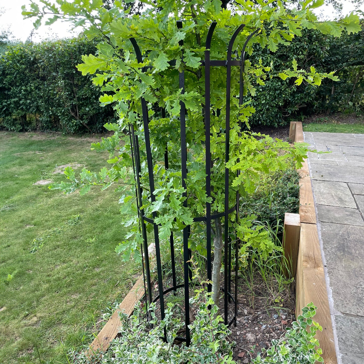 PoppyForge Tree Guard 450