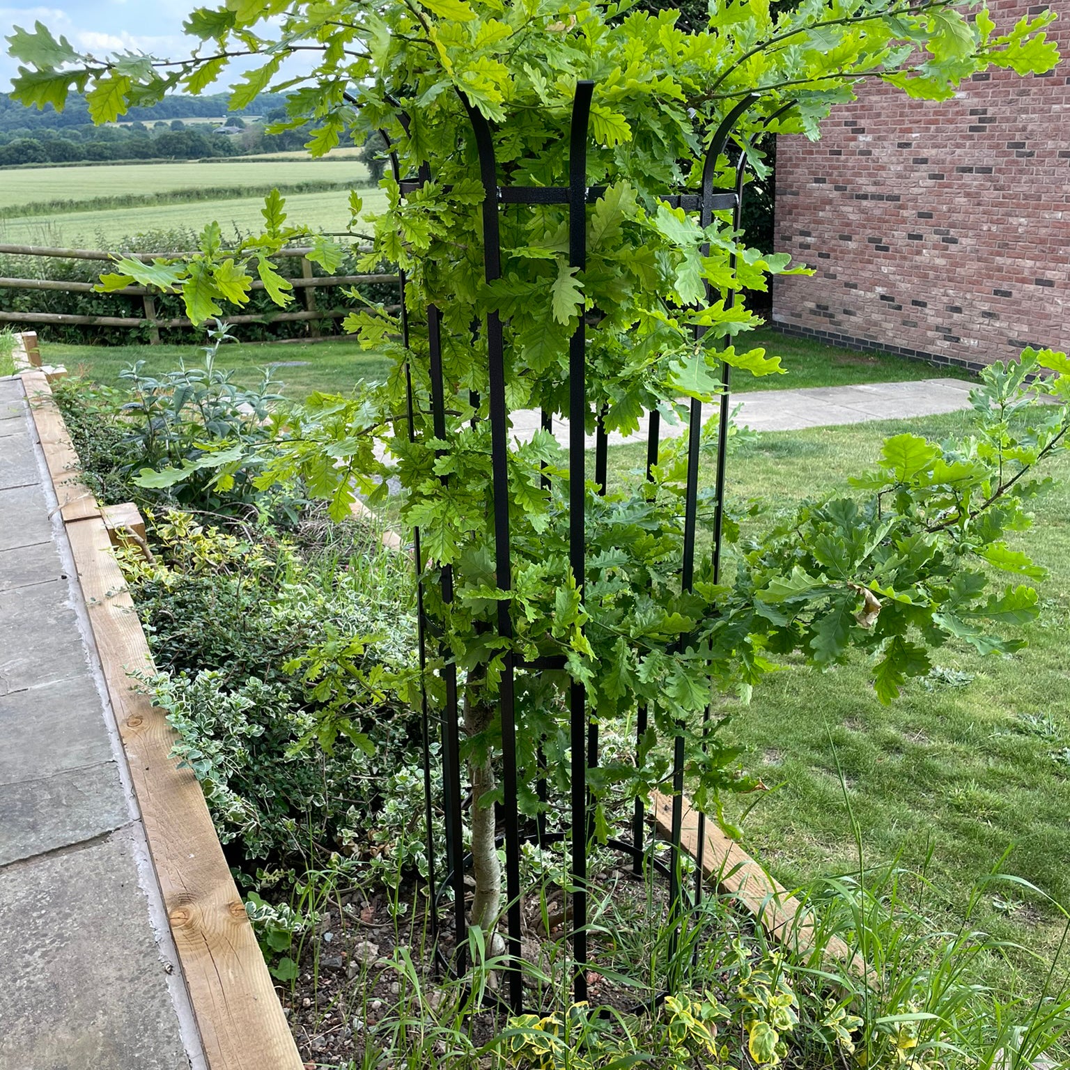 PoppyForge Tree Guard 450