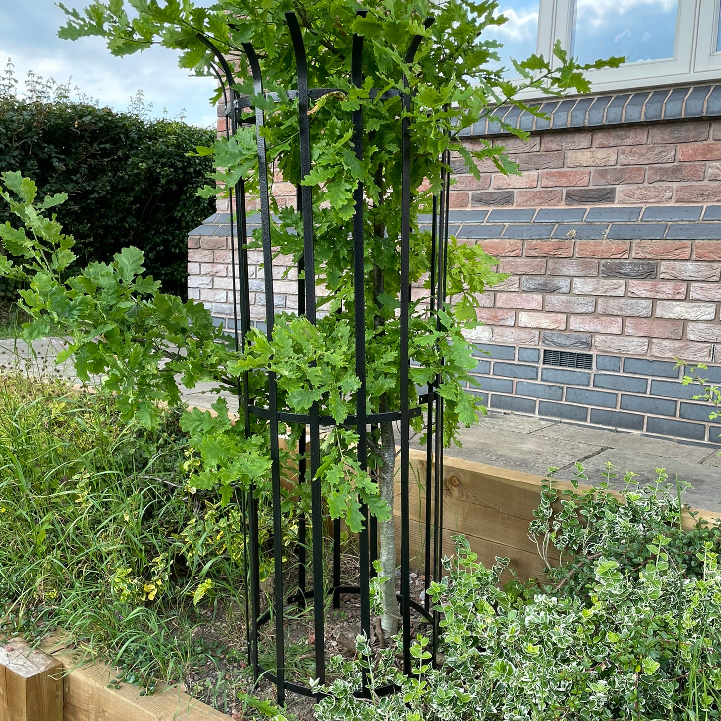 PoppyForge Tree Guard 450
