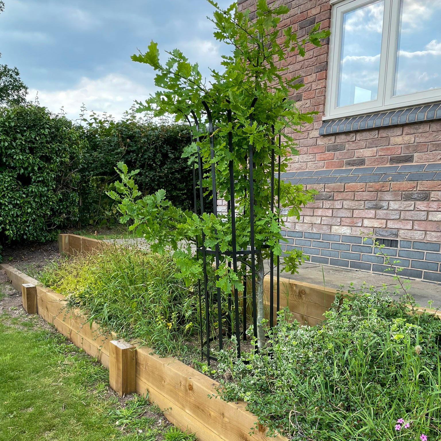 PoppyForge Tree Guard 450