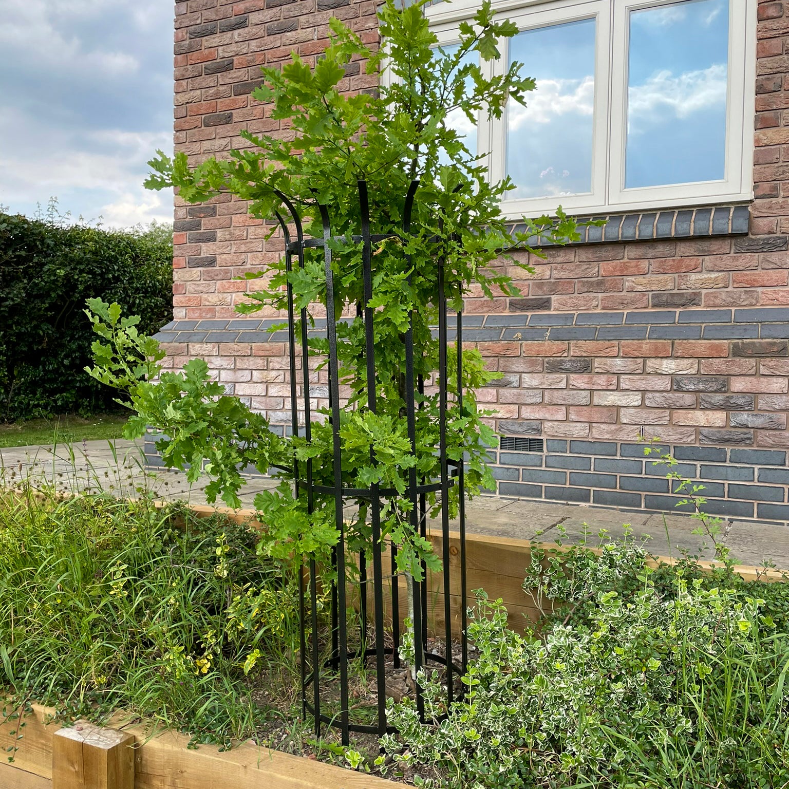 PoppyForge Tree Guard 450