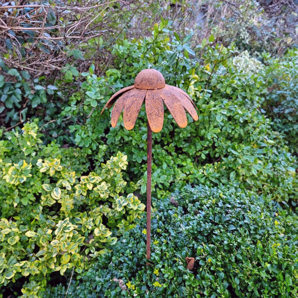 PoppyForge Cone Flower Plant Pin (pack of 3)