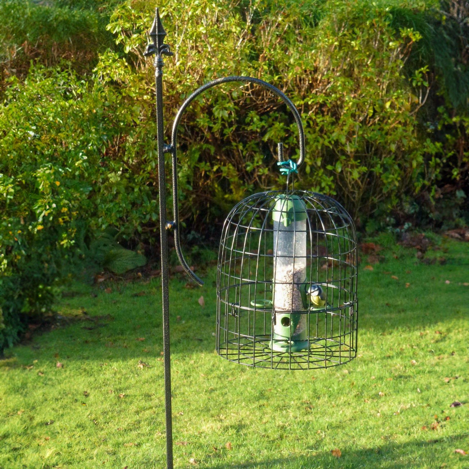 PoppyForge Single Bird Crook