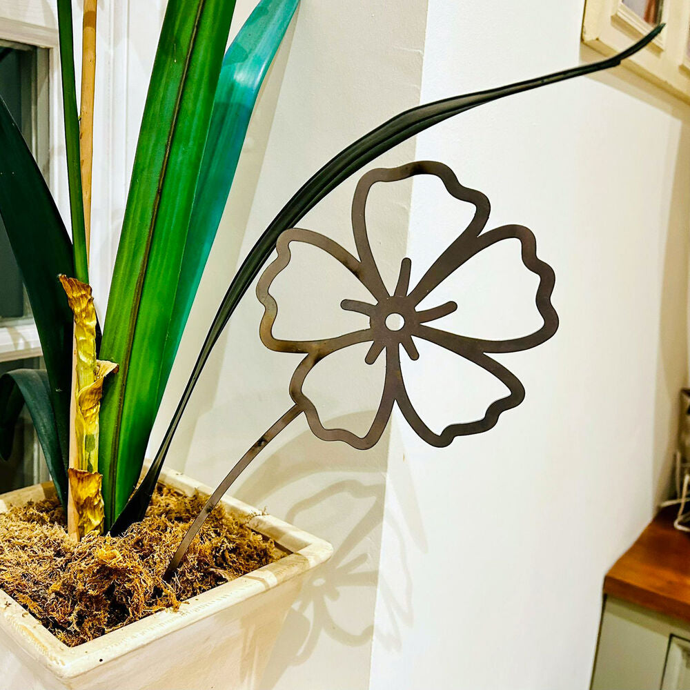 PoppyForge Pot Décor Set of 4