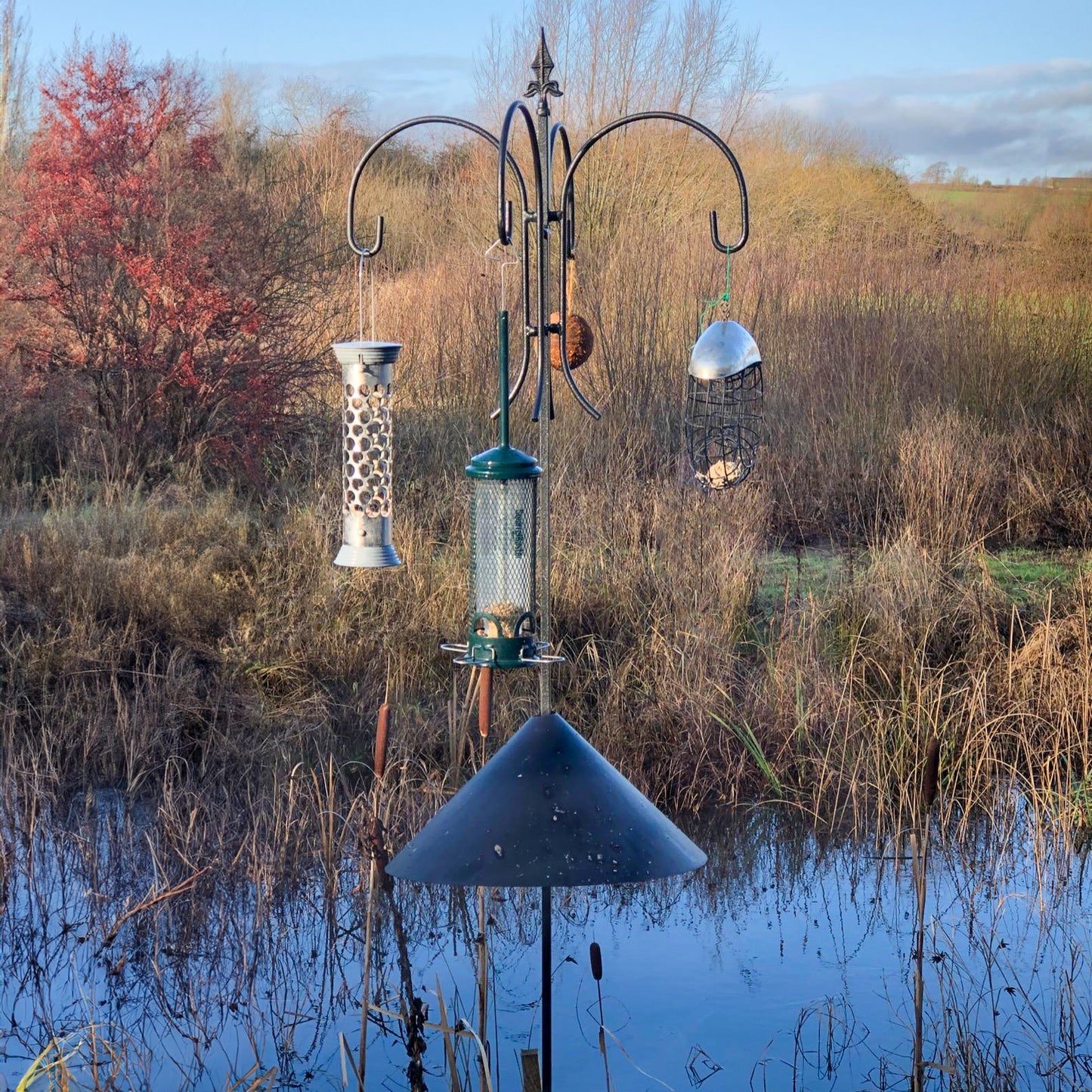 PoppyForge 4-Way Bird Crook