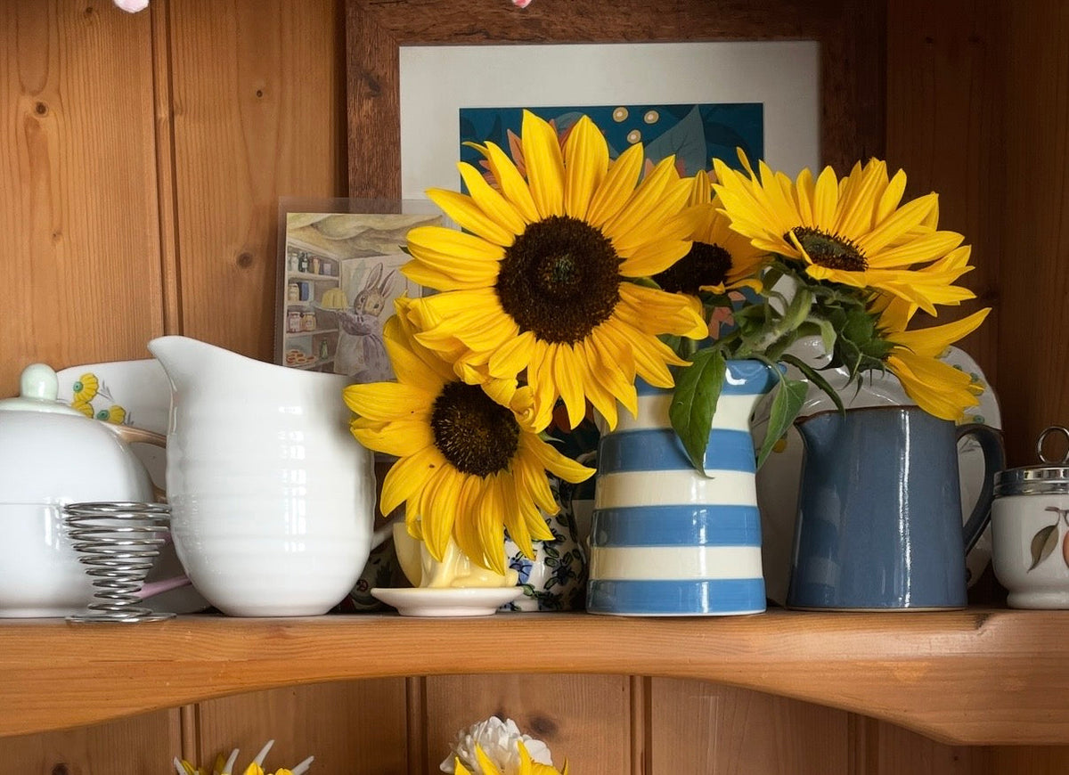 Sunflower Waooh!