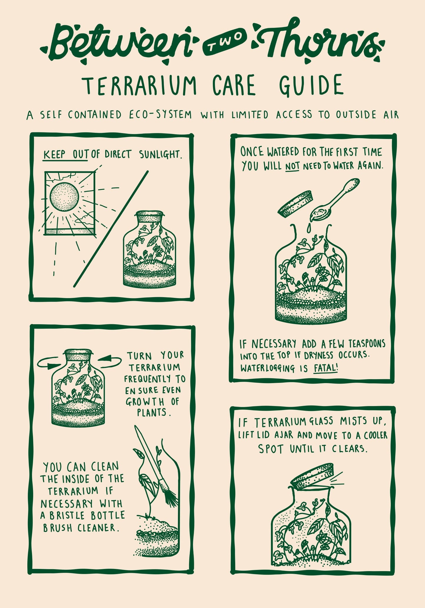 Mini Closed Terrarium