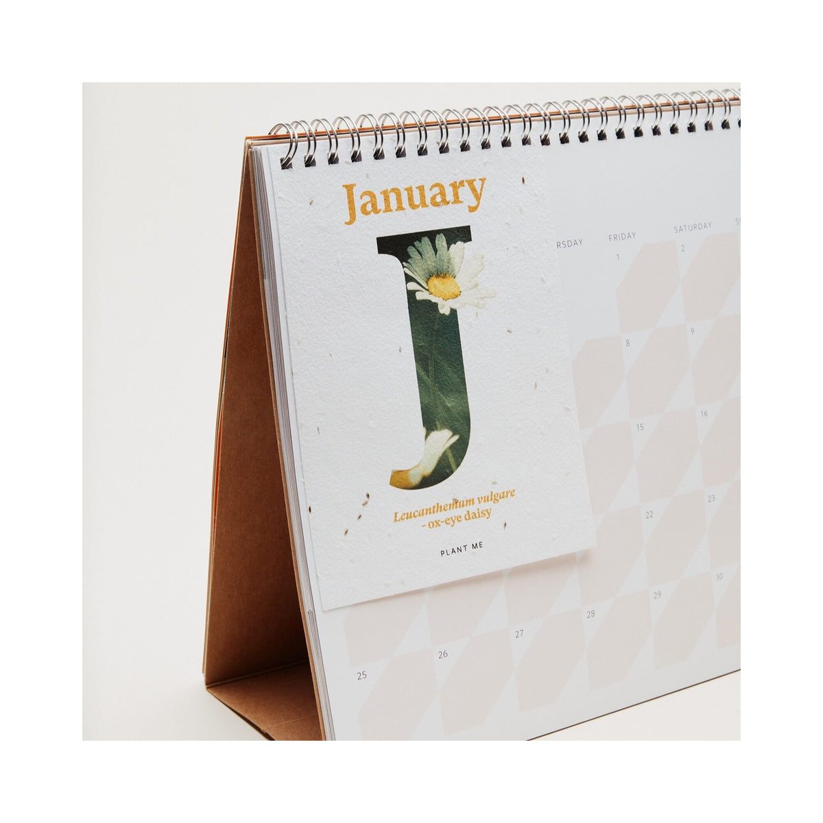 RHS & Willsow 2027 Flower Desk Calendar January page with plantable seed paper