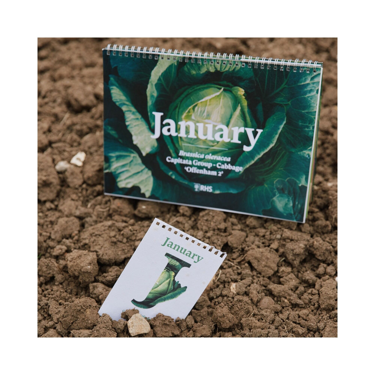 RHS & Willsow A5 Veg & Herb Desk Calendar 2027 in the garden