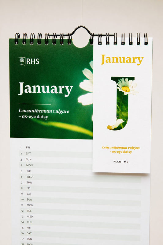 RHS & Willsow 2027 Flower Wall Calendar January page with seed paper insert