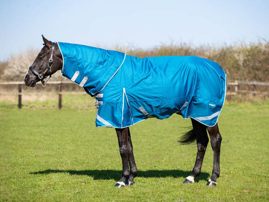 100g Detachable Neck Turnout Rug - Turquoise
